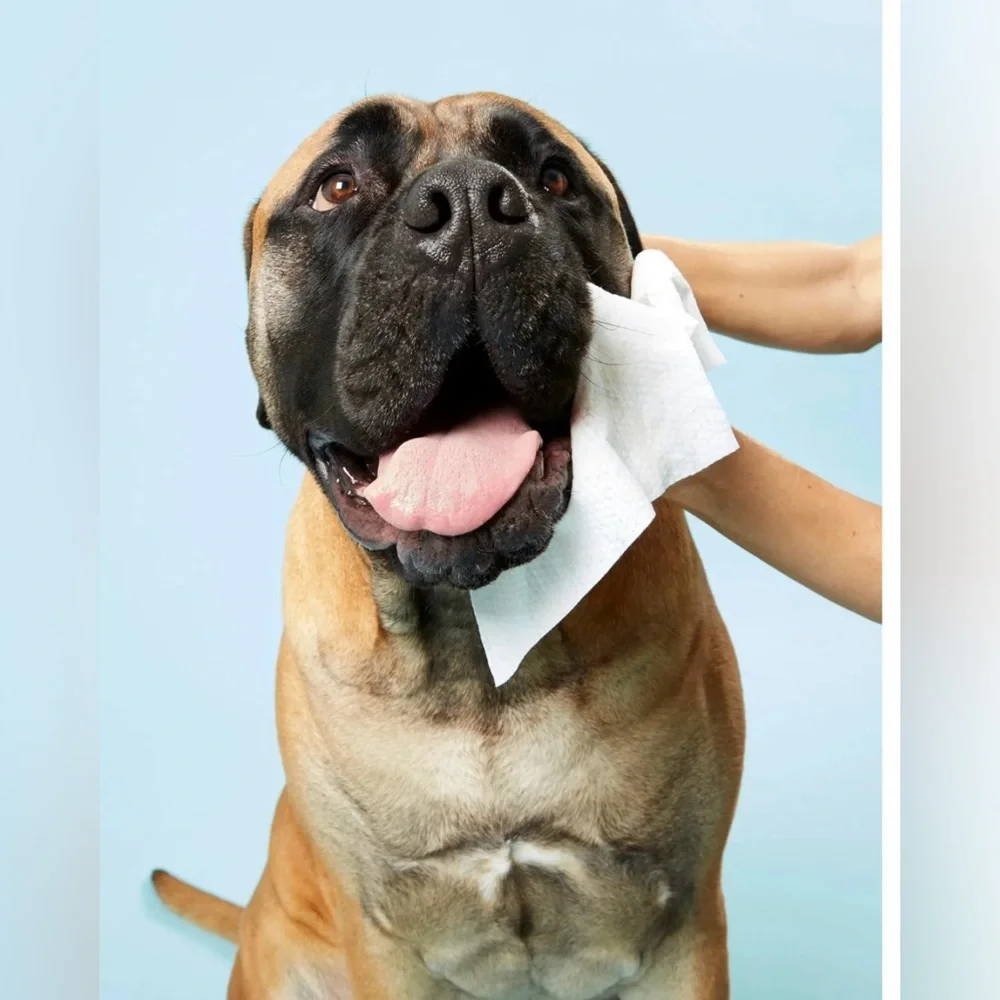 Dr. Lisa DOG Wipes - 80 Count NIB Sealed 🐶🧼 Pet Grooming Cleaning Wipes